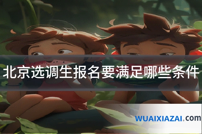 北京选调生报名要满足哪些条件
