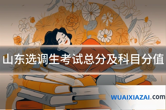 山东选调生考试总分及科目分值