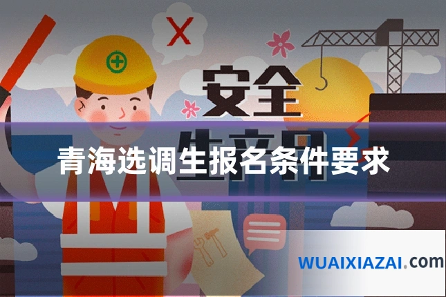 青海选调生报名条件要求