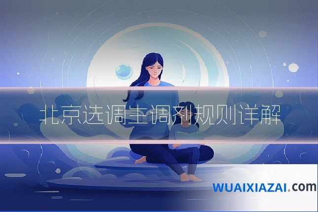 北京选调生调剂规则详解