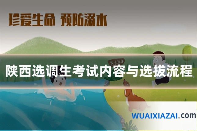 陕西选调生考试内容与选拔流程