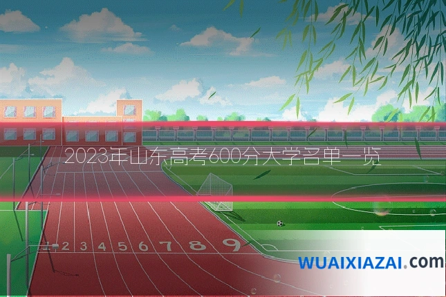 2023年山东高考600分大学名单一览