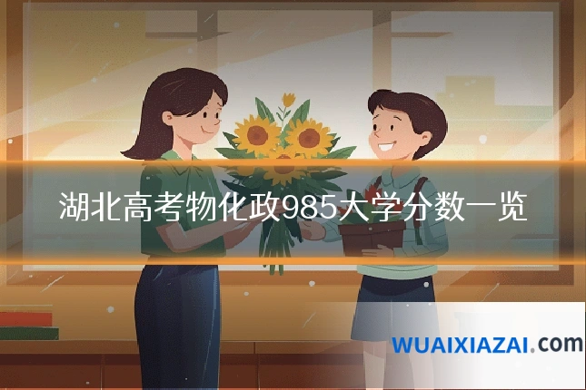 湖北高考物化政985大学分数一览