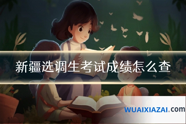 新疆选调生考试成绩怎么查
