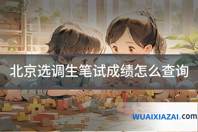 北京选调生笔试成绩怎么查询