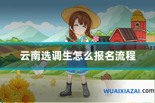 云南选调生怎么报名流程