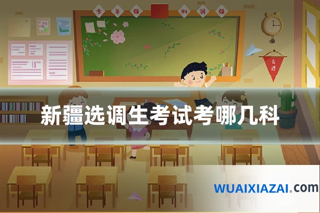 新疆选调生考试考哪几科