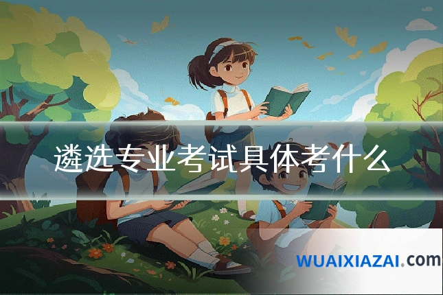 遴选专业考试具体考什么
