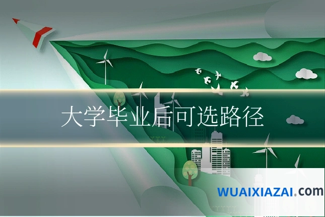 大学毕业后可选路径