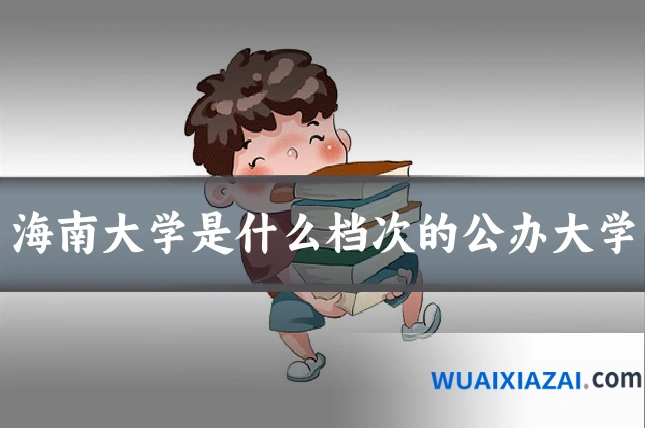 海南大学是什么档次的公办大学