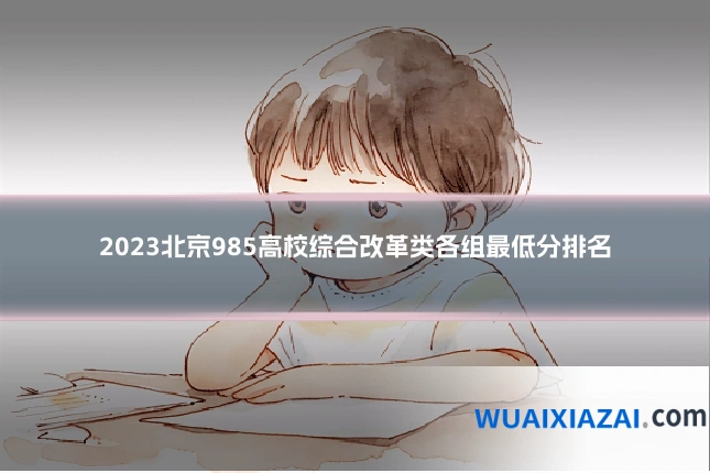 2023北京985高校综合改革类各组最低分排名