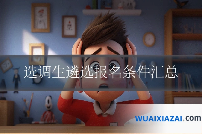 选调生遴选报名条件汇总