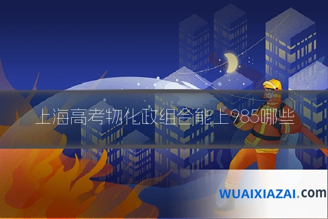 上海高考物化政组合能上985哪些
