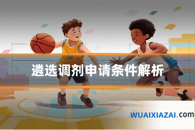 遴选调剂申请条件解析