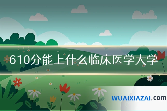610分能上什么临床医学大学