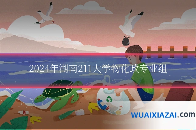 2024年湖南211大学物化政专业组