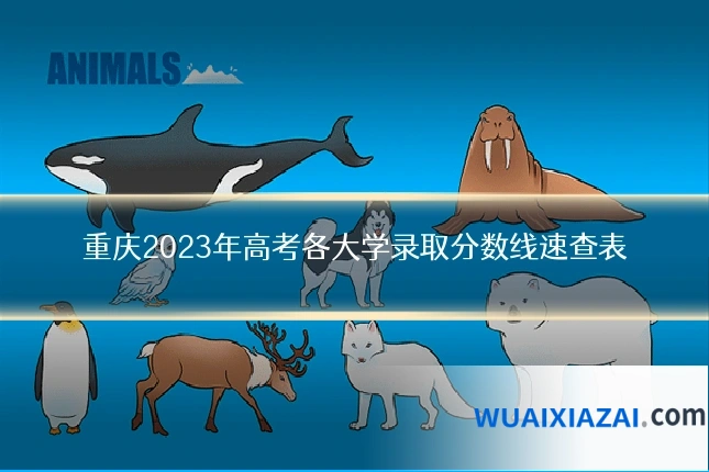 重庆2023年高考各大学录取分数线速查表
