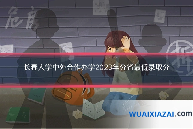 长春大学中外合作办学2023年分省最低录取分