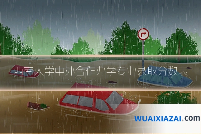 西南大学中外合作办学专业录取分数表