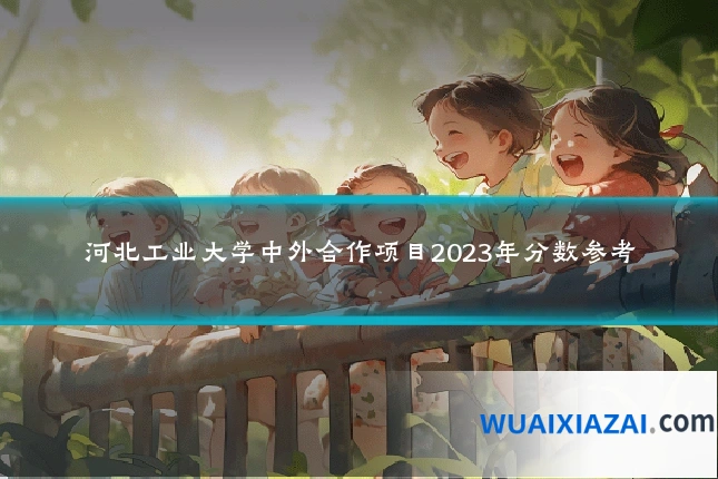 河北工业大学中外合作项目2023年分数参考