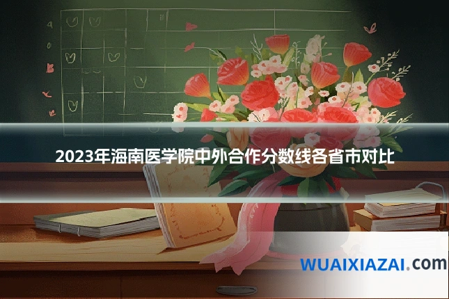 2023年海南医学院中外合作分数线各省市对比