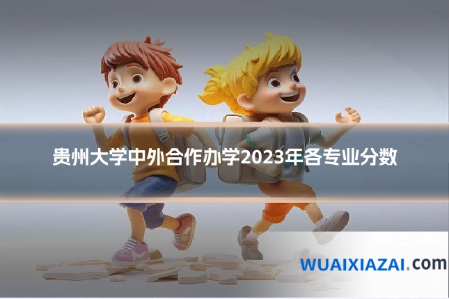 贵州大学中外合作办学2023年各专业分数
