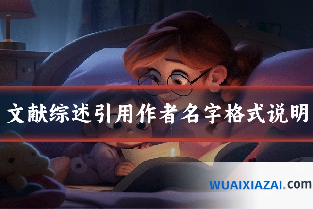 文献综述引用作者名字格式说明