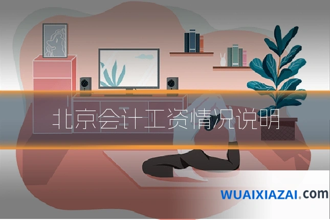 北京会计工资情况说明