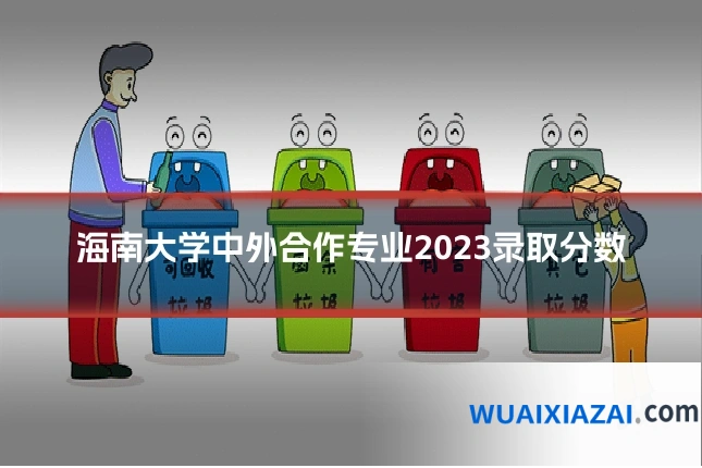 海南大学中外合作专业2023录取分数