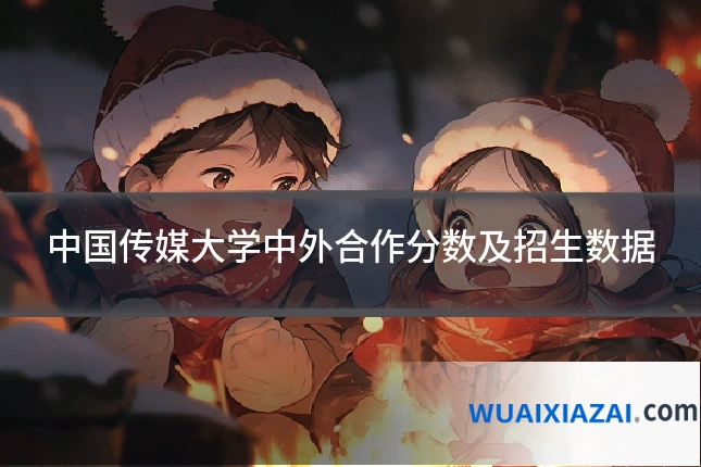 中国传媒大学中外合作分数及招生数据