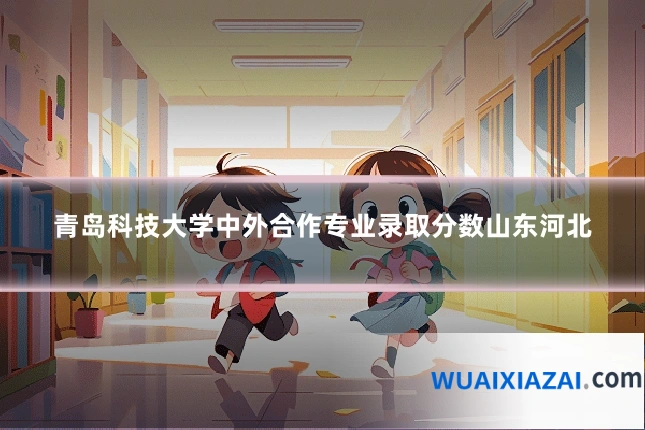青岛科技大学中外合作专业录取分数山东河北