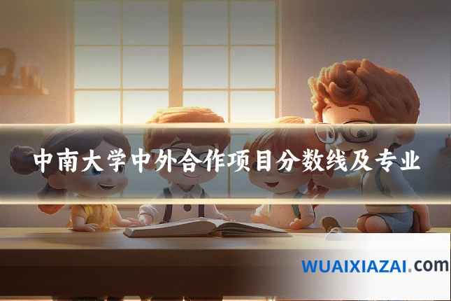 中南大学中外合作项目分数线及专业