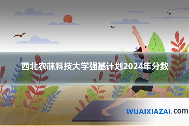 西北农林科技大学强基计划2024年分数