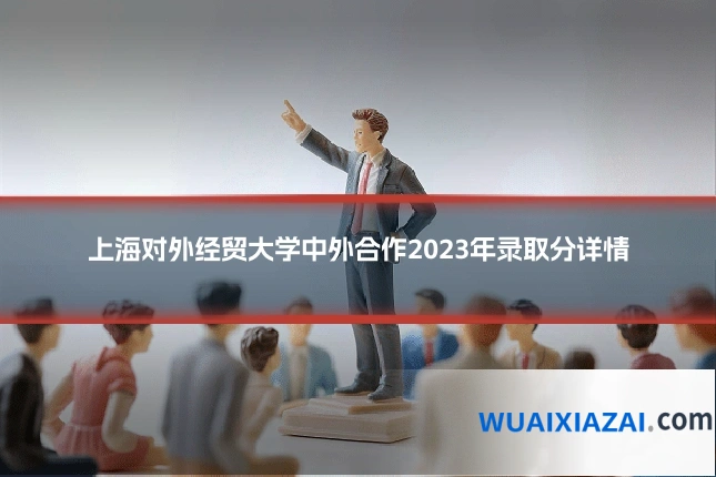 上海对外经贸大学中外合作2023年录取分详情
