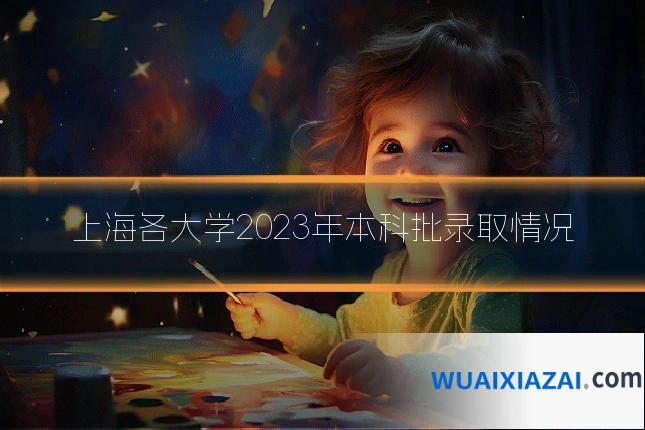 上海各大学2023年本科批录取情况