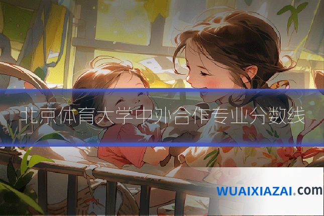 北京体育大学中外合作专业分数线