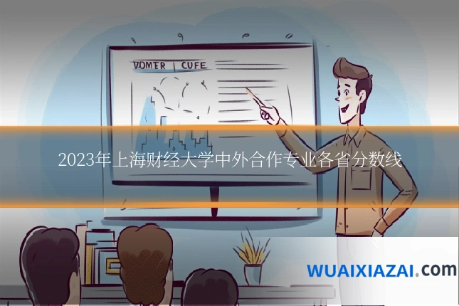 2023年上海财经大学中外合作专业各省分数线