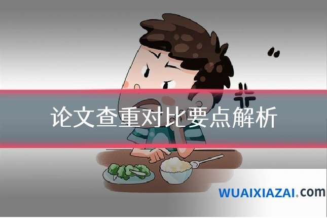 论文查重对比要点解析