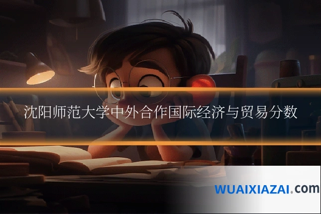 沈阳师范大学中外合作国际经济与贸易分数
