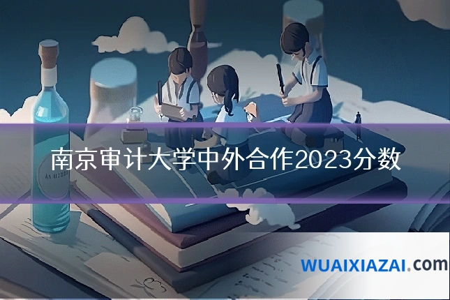 南京审计大学中外合作2023分数