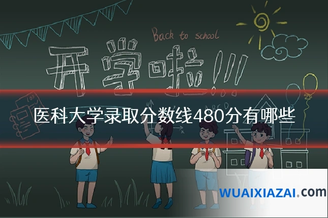 医科大学录取分数线480分有哪些
