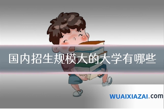 国内招生规模大的大学有哪些