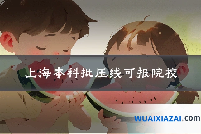上海本科批压线可报院校
