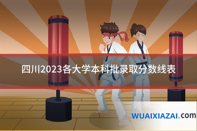 四川2023各大学本科批录取分数线表