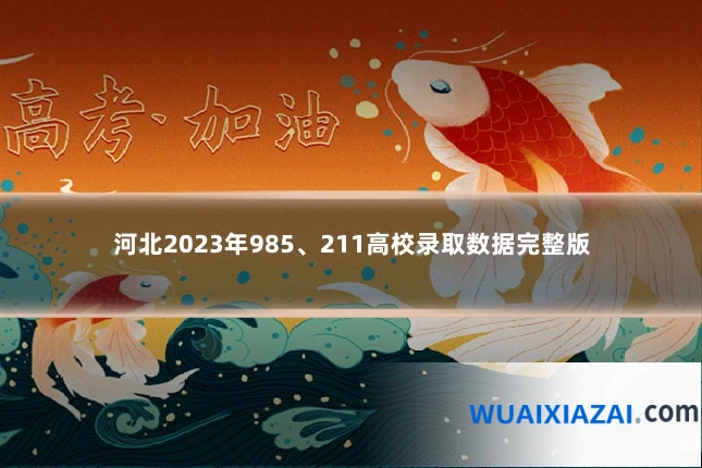 河北2023年985、211高校录取数据完整版