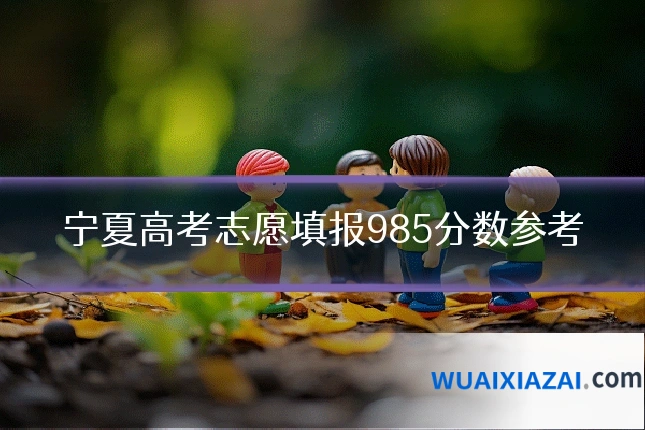 宁夏高考志愿填报985分数参考