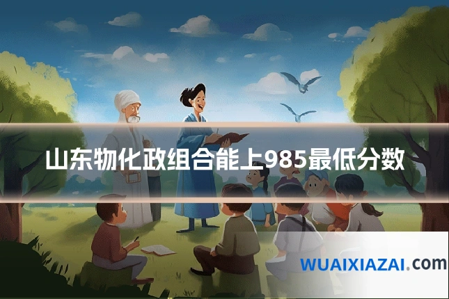 山东物化政组合能上985最低分数
