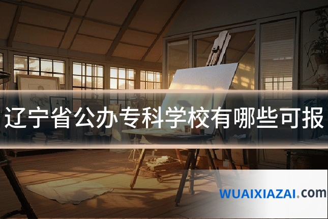 辽宁省公办专科学校有哪些可报