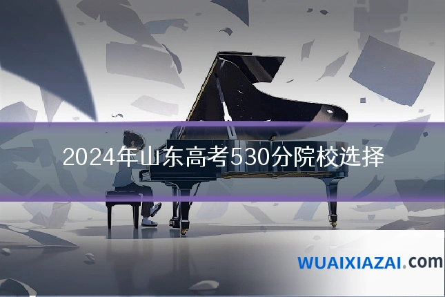2024年山东高考530分院校选择