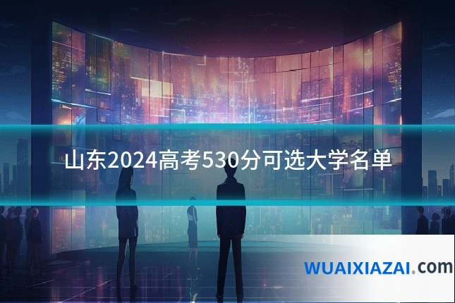 山东2024高考530分可选大学名单